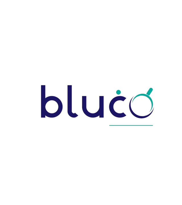 bluco llc logo png